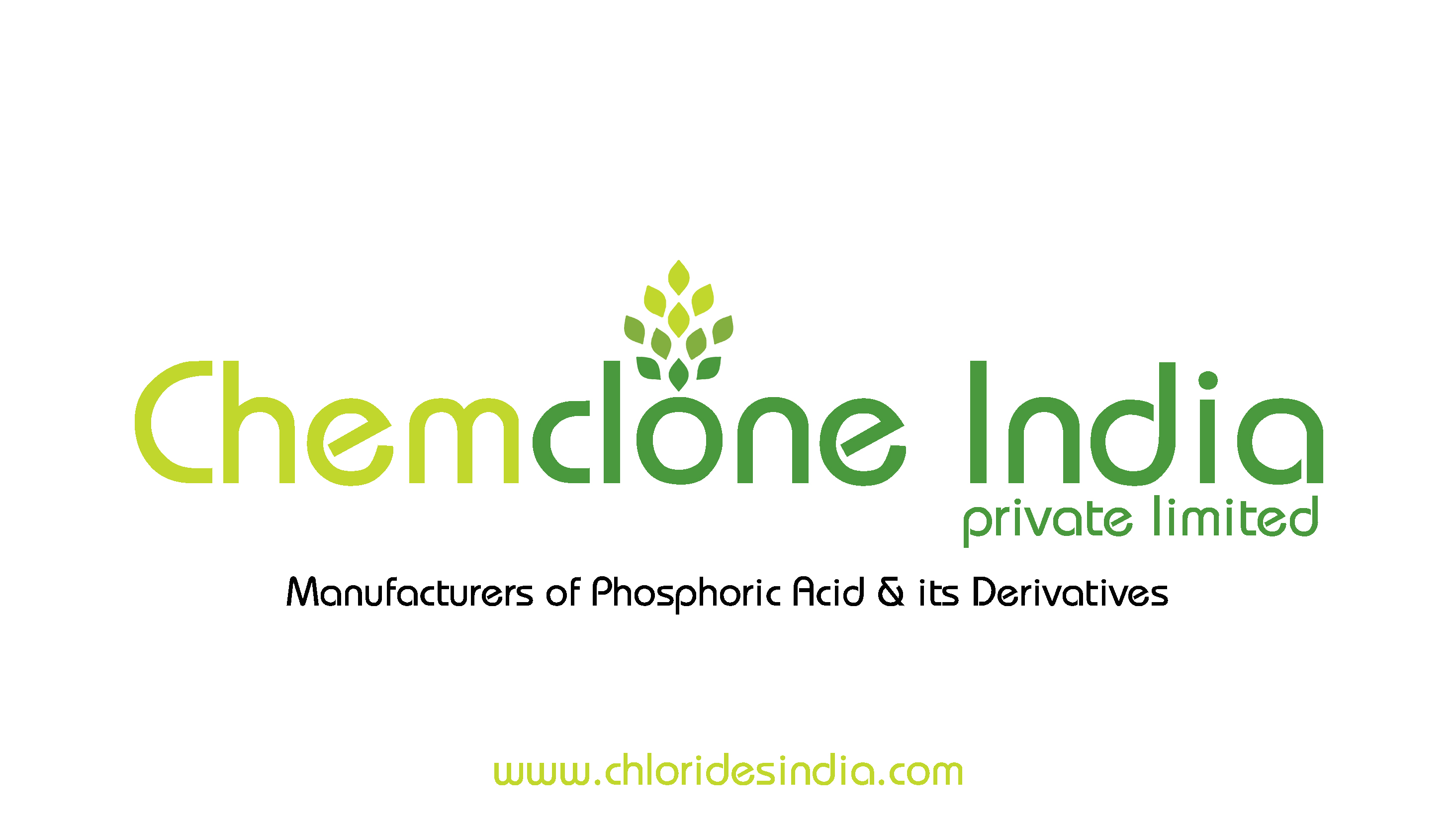 About Chlorides India